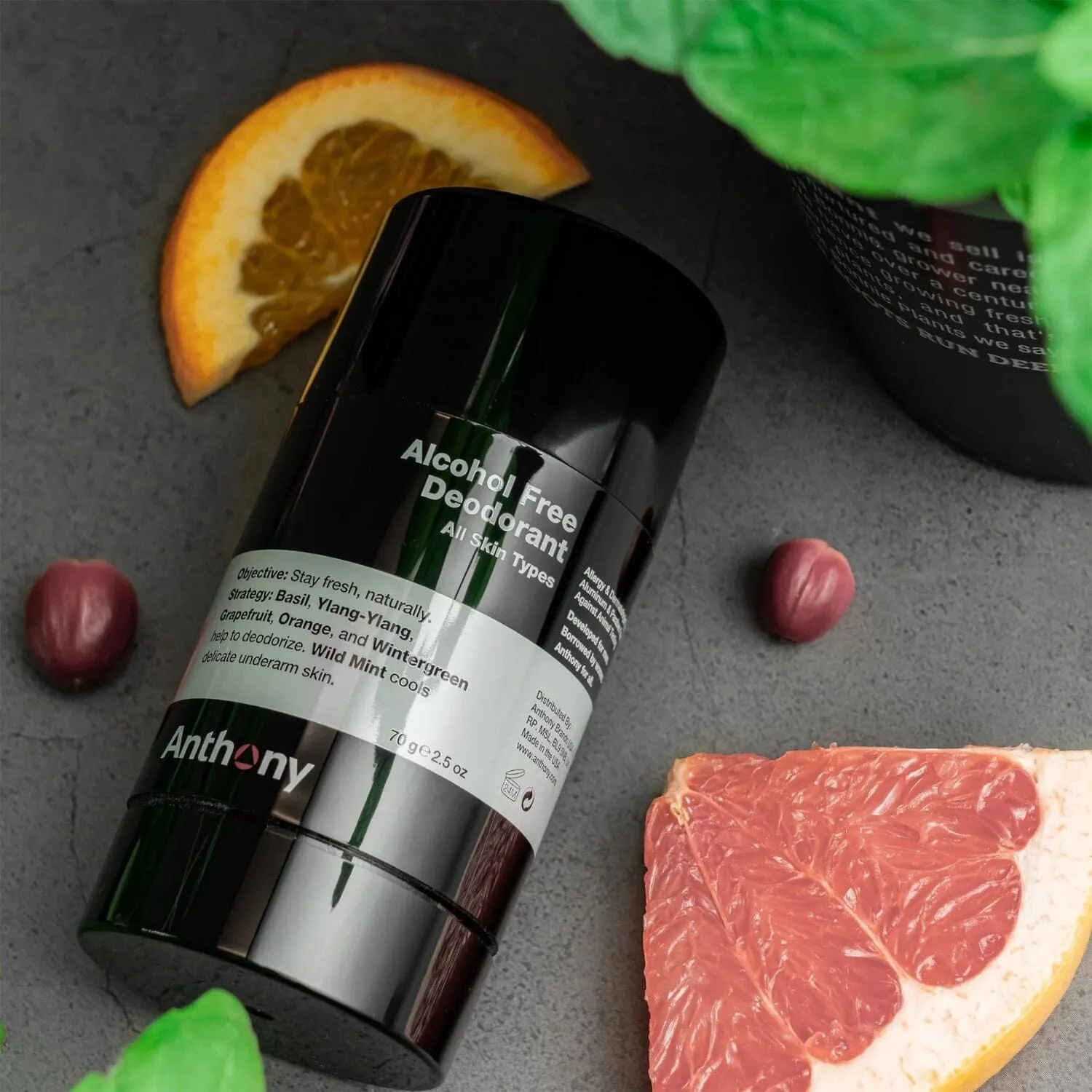Anthony Alcohol Free Deodorant (70g)