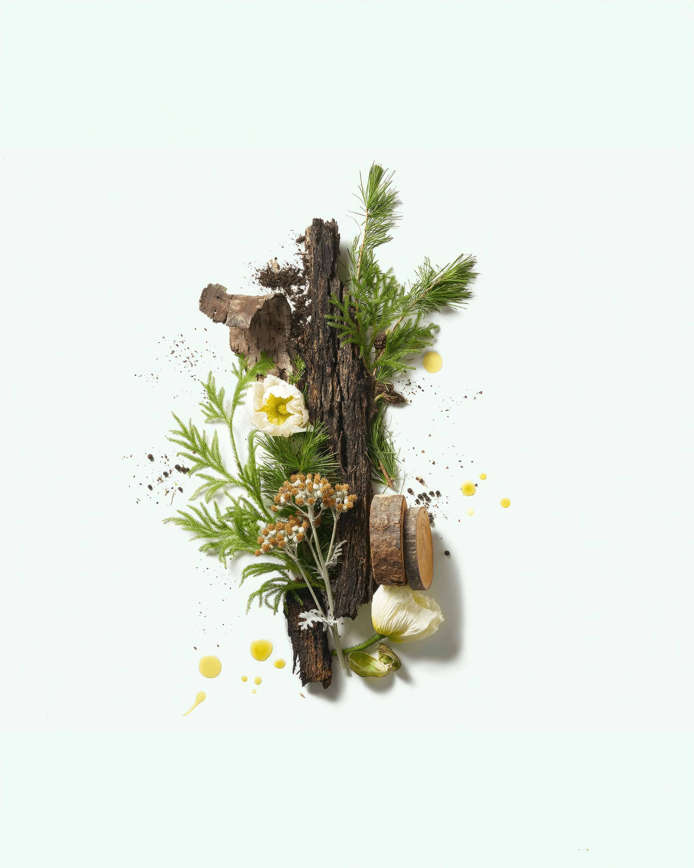 Cedar Flora Natural Deodorant