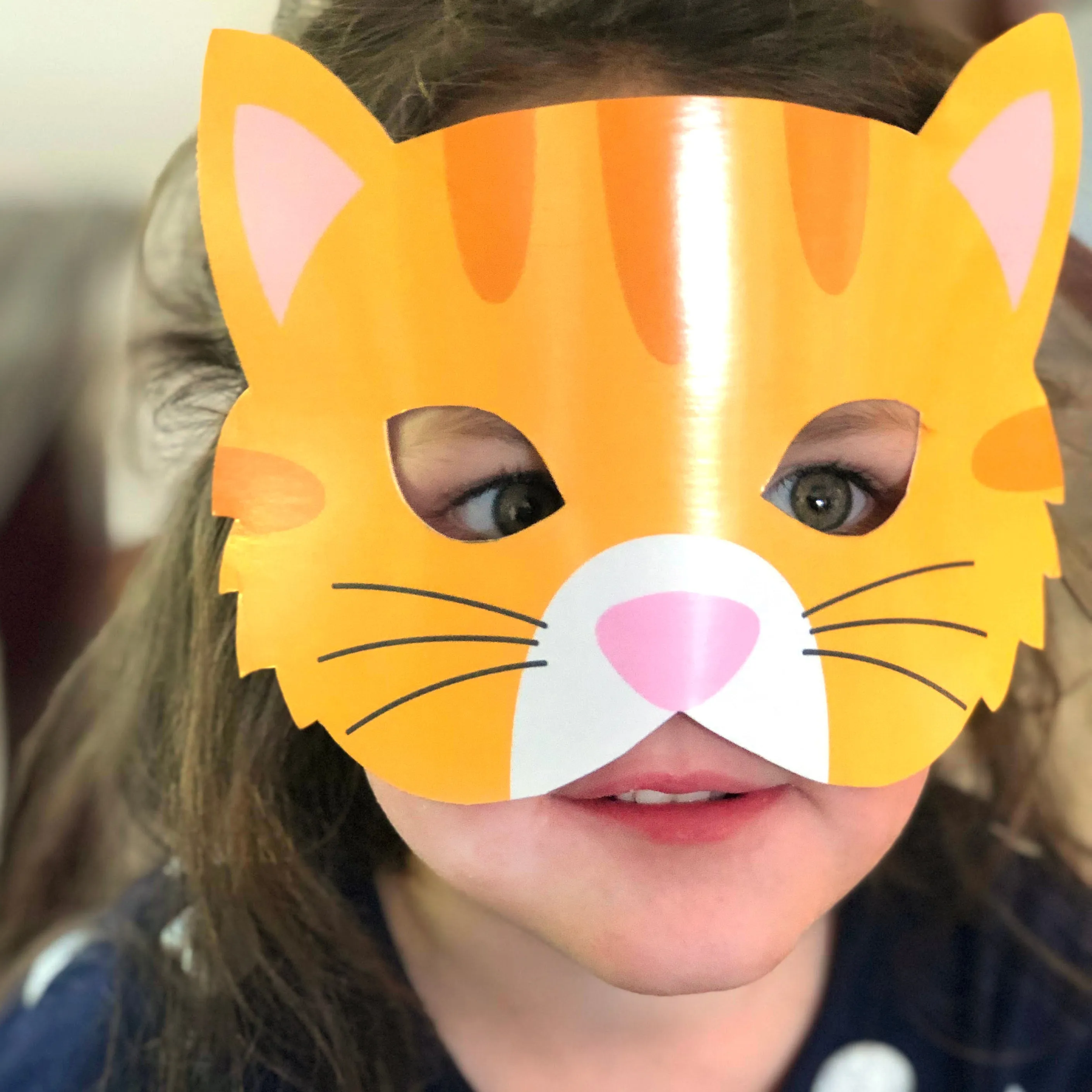 Kitty Adoption Party Masks | Kitty Cat Party Masks Party | Cat Party Mask
