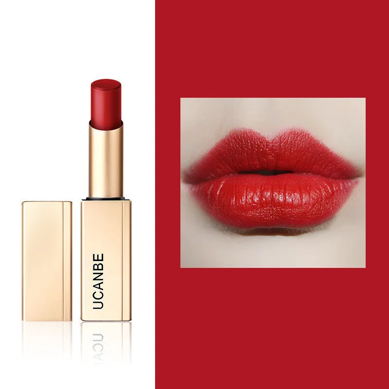 Long Lasting Waterproof Matte Lip Stick