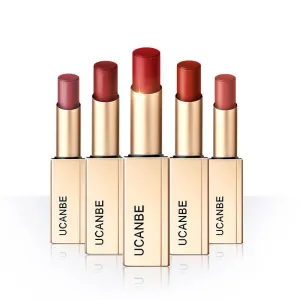 Long Lasting Waterproof Matte Lip Stick