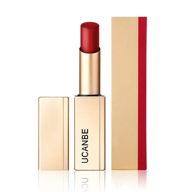 Long Lasting Waterproof Matte Lip Stick