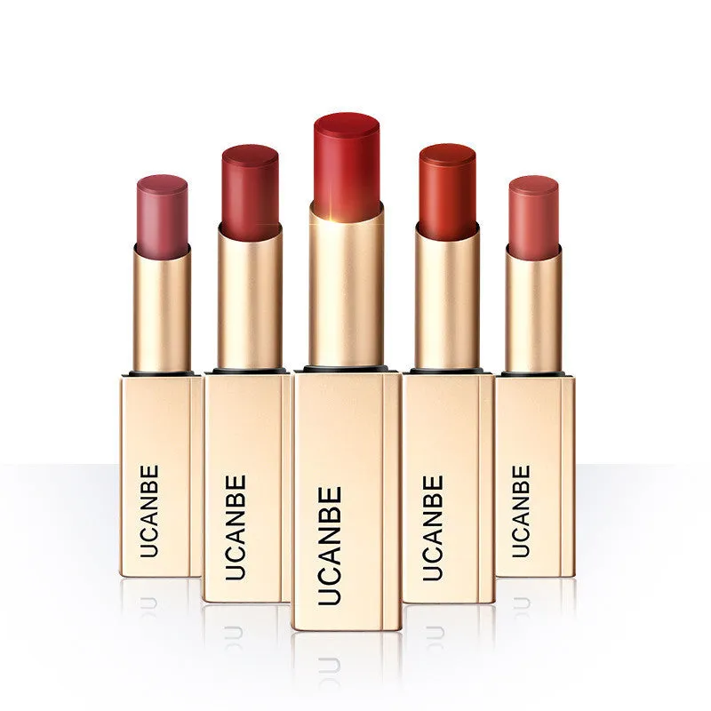 Long Lasting Waterproof Matte Lip Stick