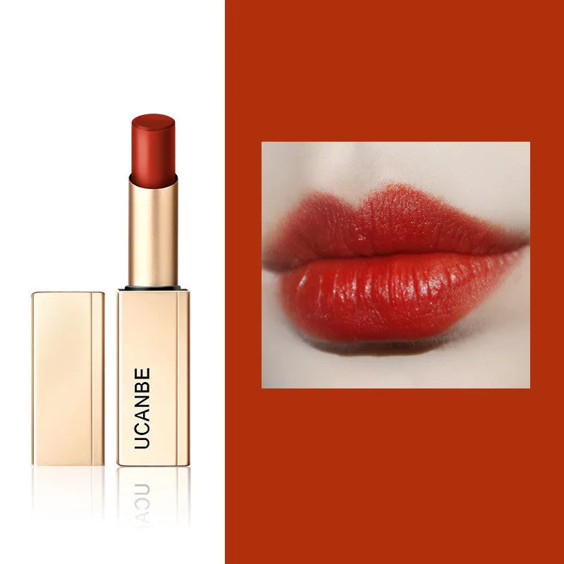 Long Lasting Waterproof Matte Lip Stick