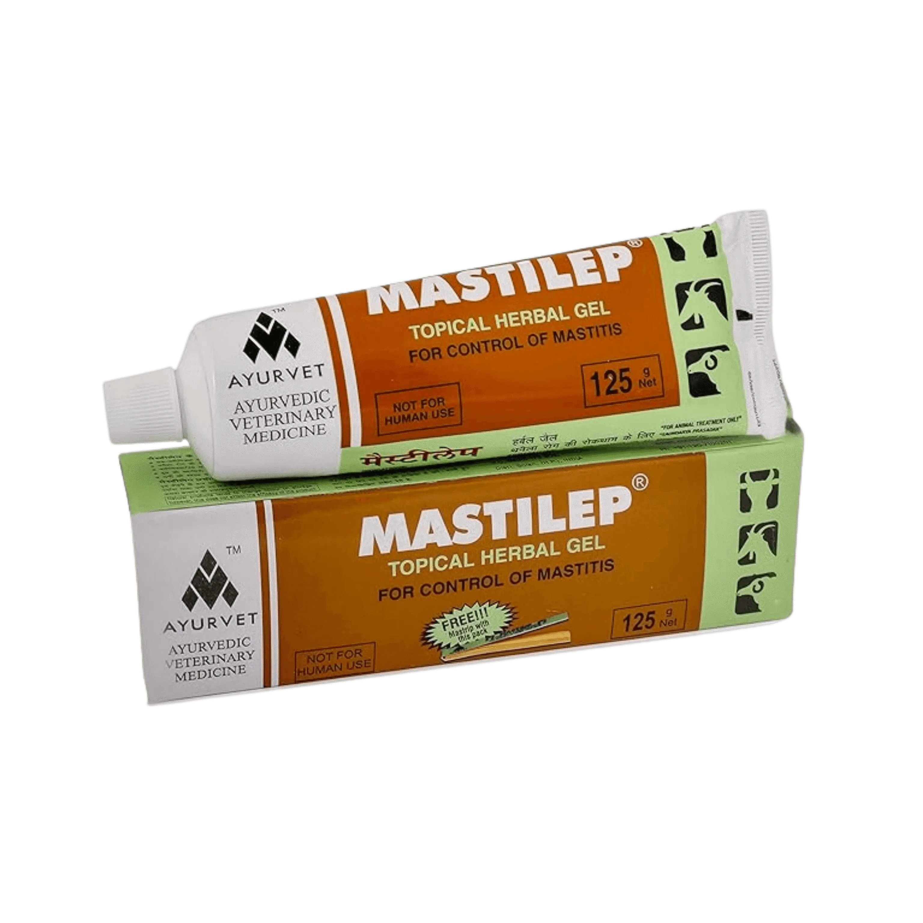 MASTILEP HEBAL GEL