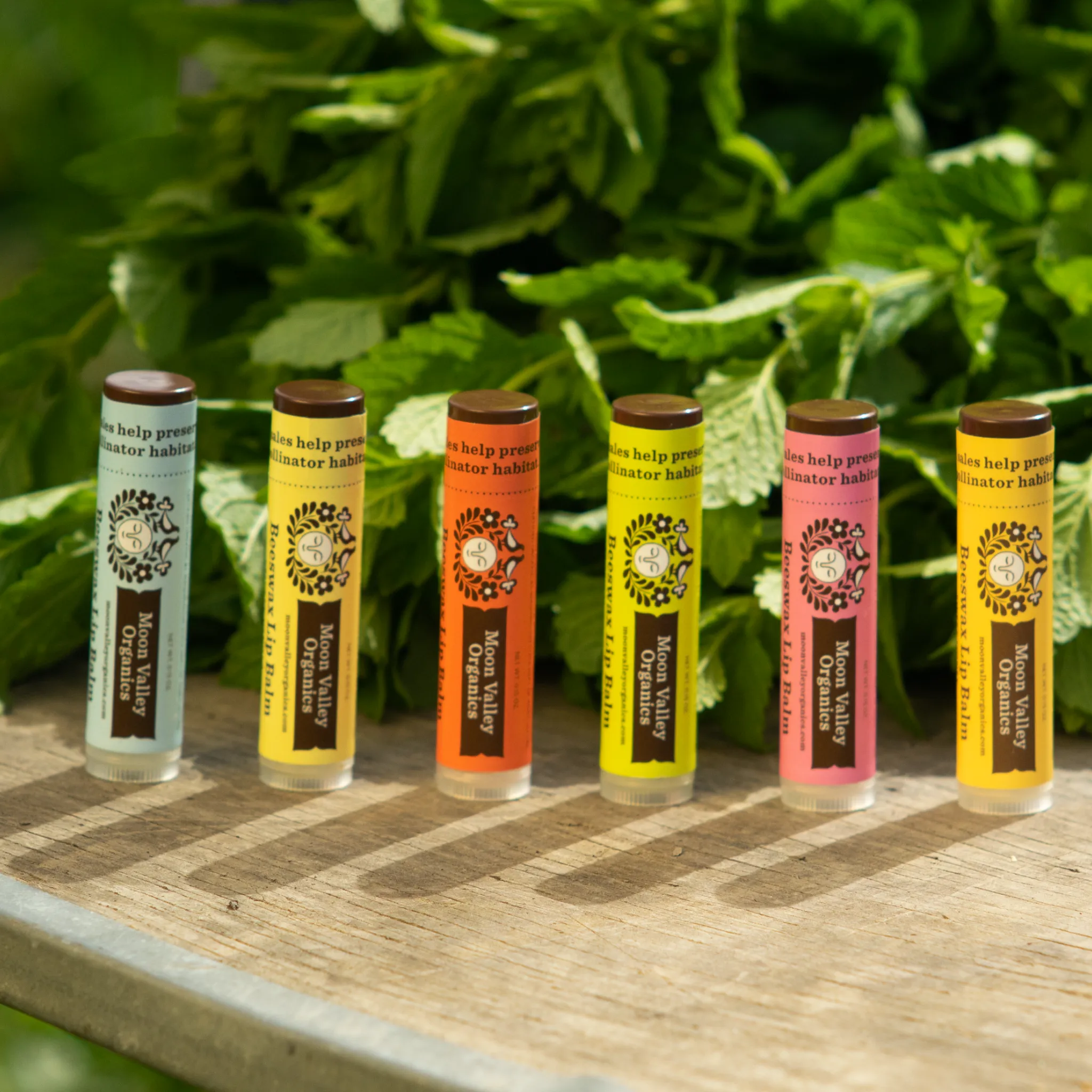 Zingy Cinnamon Beeswax Lip Balm