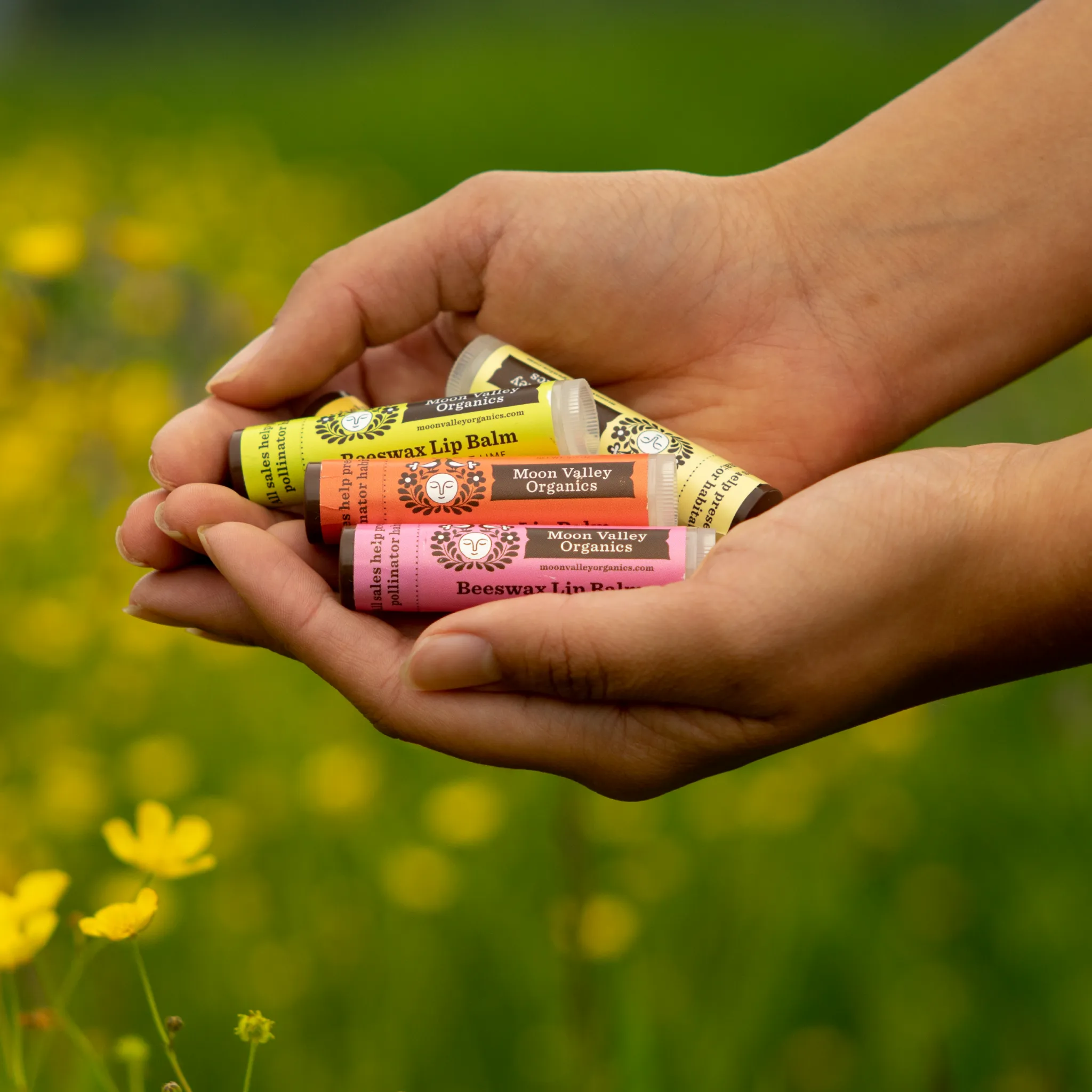 Zingy Cinnamon Beeswax Lip Balm